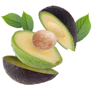 venta-de-aguacate-ecologico-fraskuelofruits